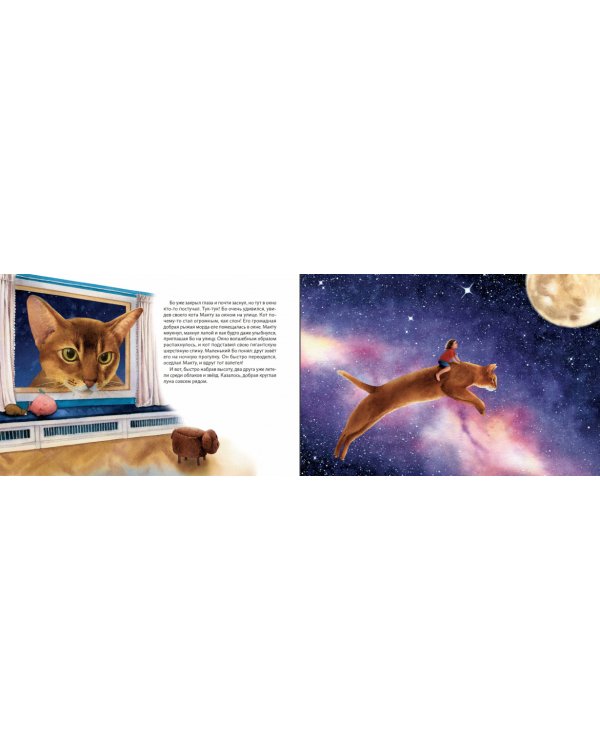 Удивительные приключения Маленького Бо