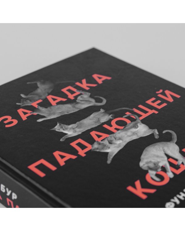 Загадка падающей кошки. и фундаментальная физика