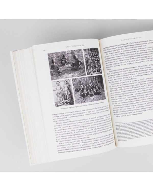 Дополнительное изображение книги «Биология добра и зла.Как наука объясняет наши поступки»