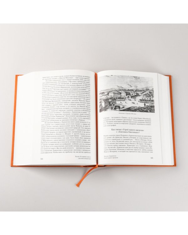 Полка. О главных книгах русской литературы (тома I, II)