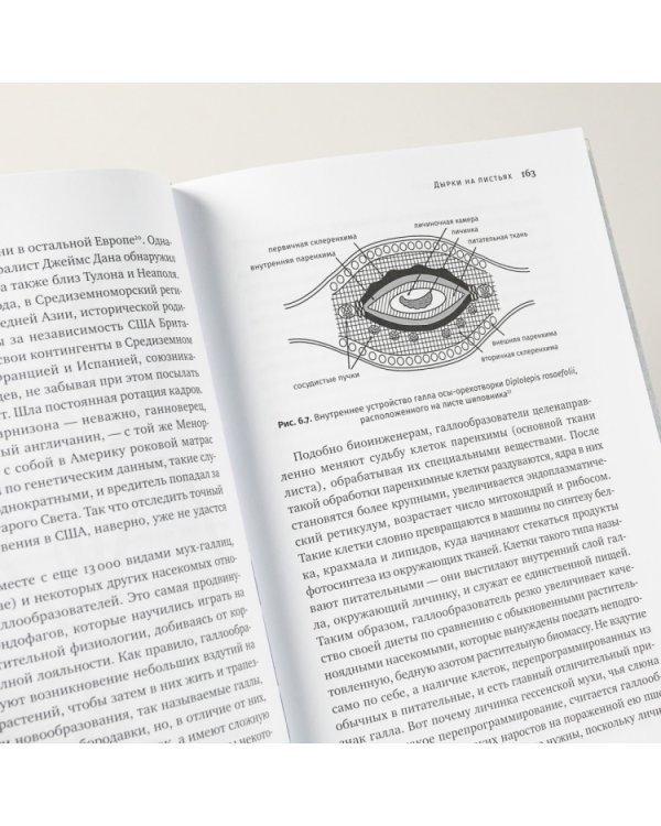 Краткая история насекомых. Шестиногие хозяева планеты