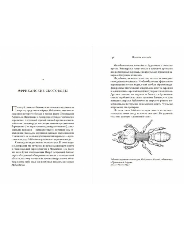 Планета муравьев