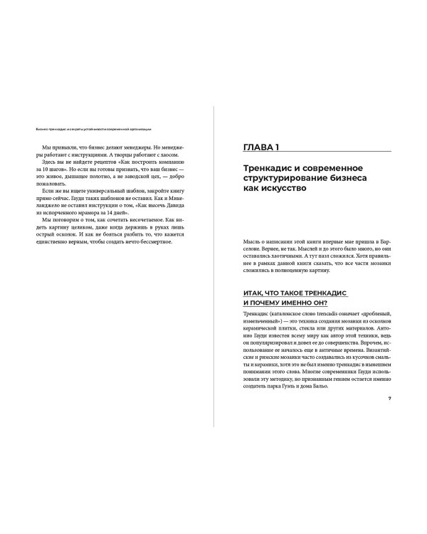 Дополнительное изображение книги «Бизнес-тренкадис. Секреты устойчивости современной организации»