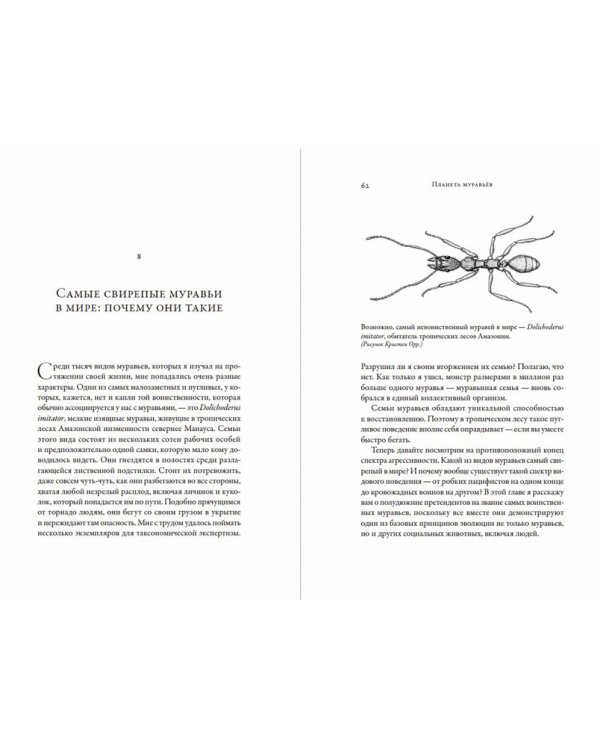 Планета муравьев