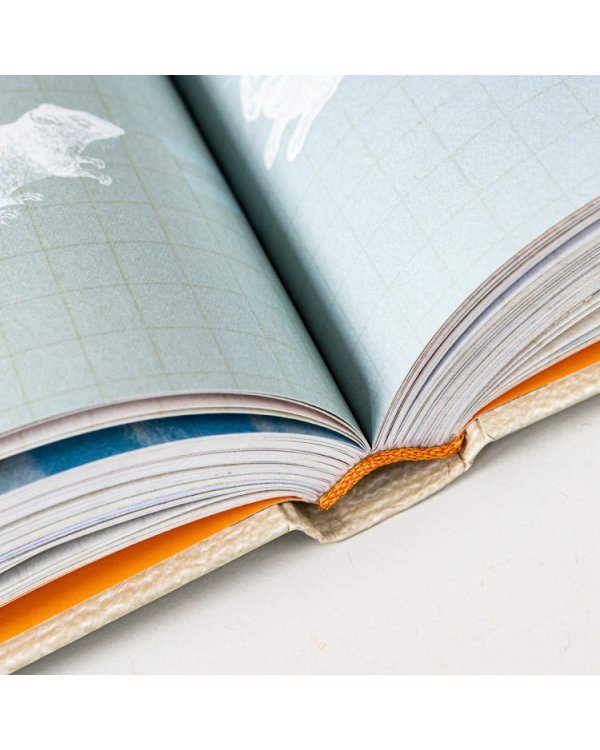 Дополнительное изображение книги «Взлом психологии. Все психологические теории в одной книге»