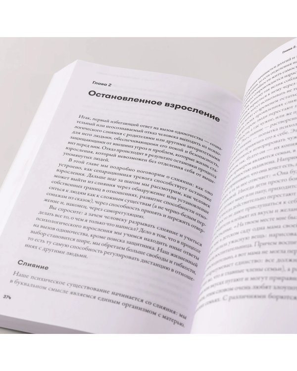 Дополнительное изображение книги «Один на один с жизнью. Книга, которая поможет найти смысл»
