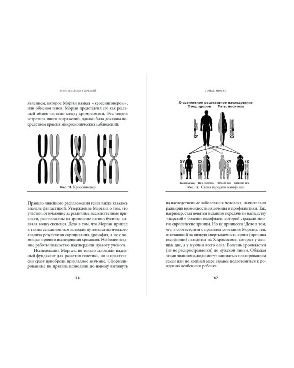 Дополнительное изображение книги «30 нобелевских премий. Открытия, изменившие медицину»