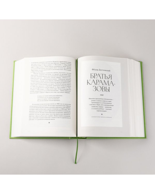 Полка. О главных книгах русской литературы (тома I, II)