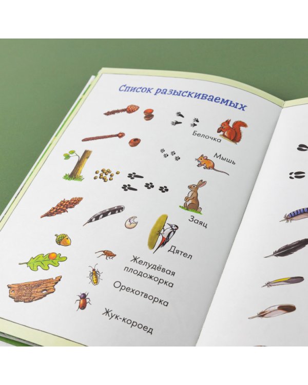 Комиксы с Конни. Лесные детективы