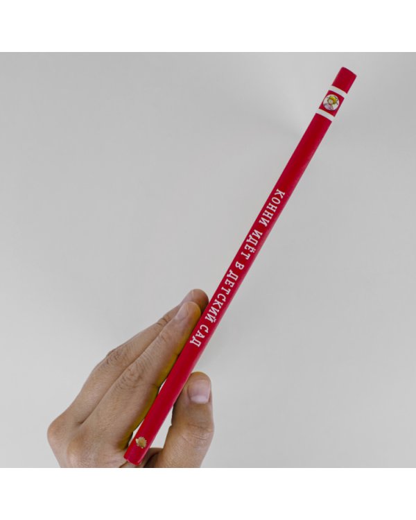 Конни идёт в детский сад