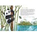 Я большая панда. (книга с раскрасками)