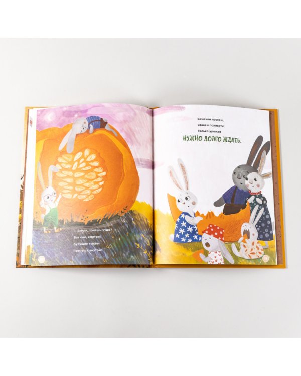 Трать с умом, как зайчик Фунди. История про огромные тыквы