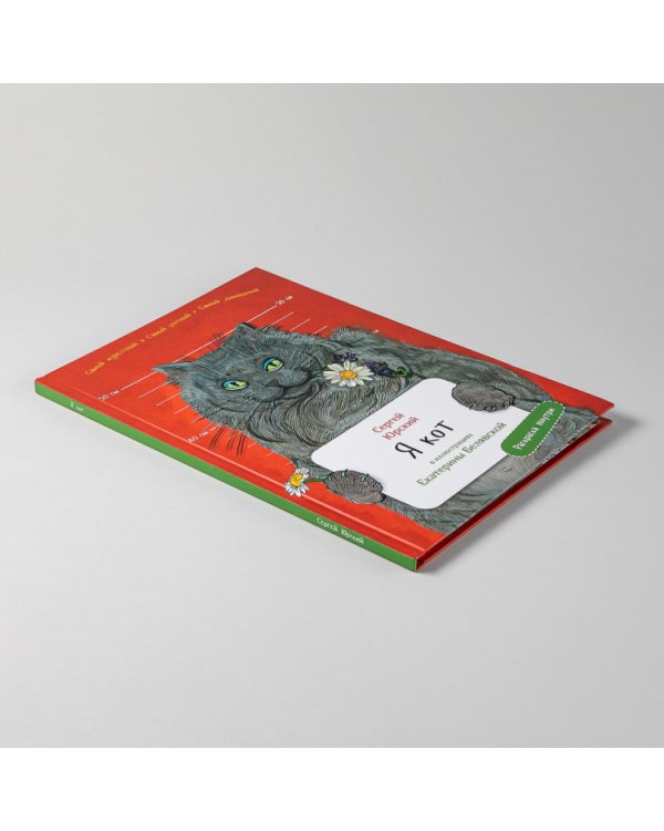 Я кот. (книга с раскрасками)