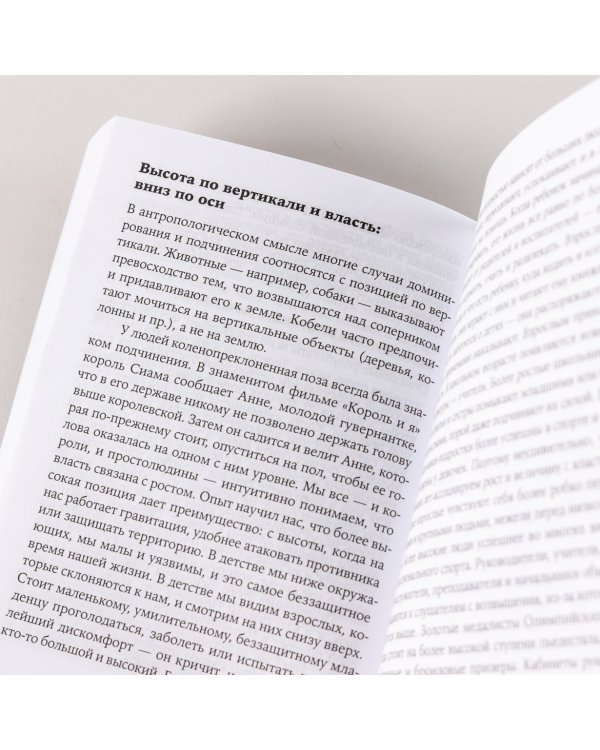 Теплая чашка в холодный день. Как физические ощущения влияют на наши решения