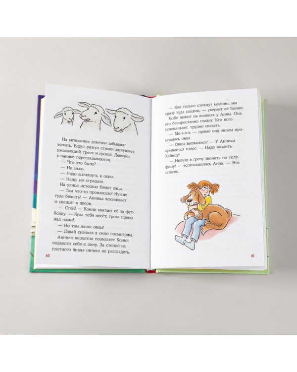 Приключения Конни и соседские мальчишки
