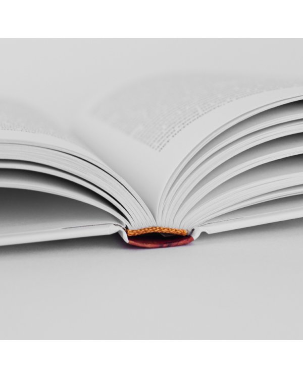 Дополнительное изображение книги «Белые карлики. Будущее Вселенной»