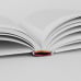 Дополнительное изображение книги «Белые карлики. Будущее Вселенной»