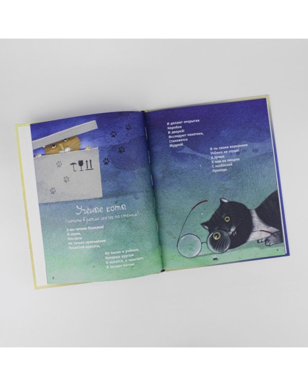 Мартын и Барсик.Два кота-красота!