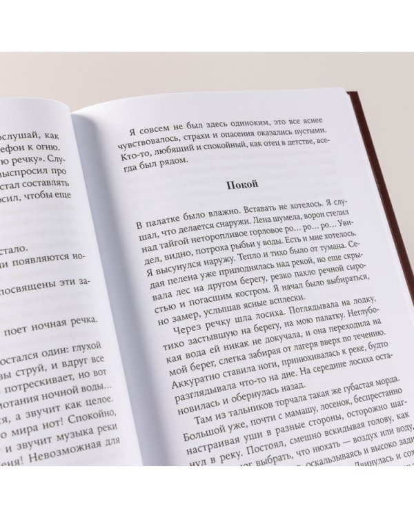 Одинокое путешествие накануне зимы