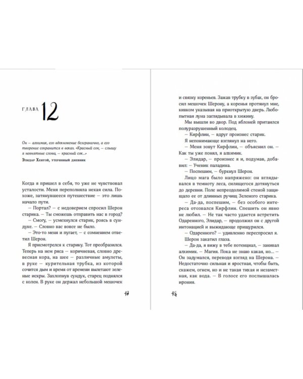 Светлая книга. Ученик паладина