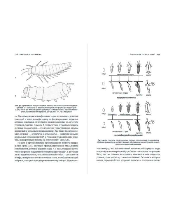 Краткая история насекомых. Шестиногие хозяева планеты