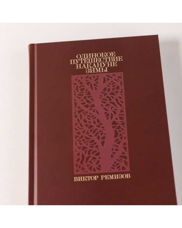 Одинокое путешествие накануне зимы