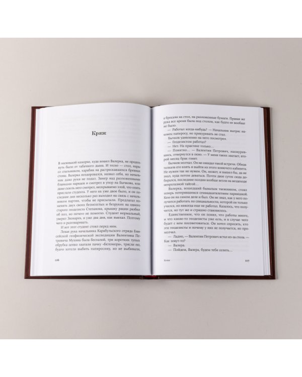 Одинокое путешествие накануне зимы