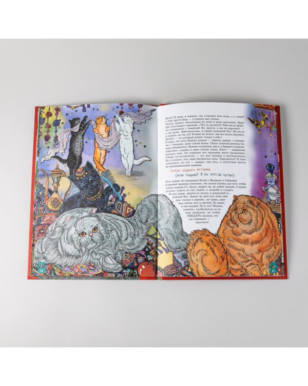 Я кот. (книга с раскрасками)