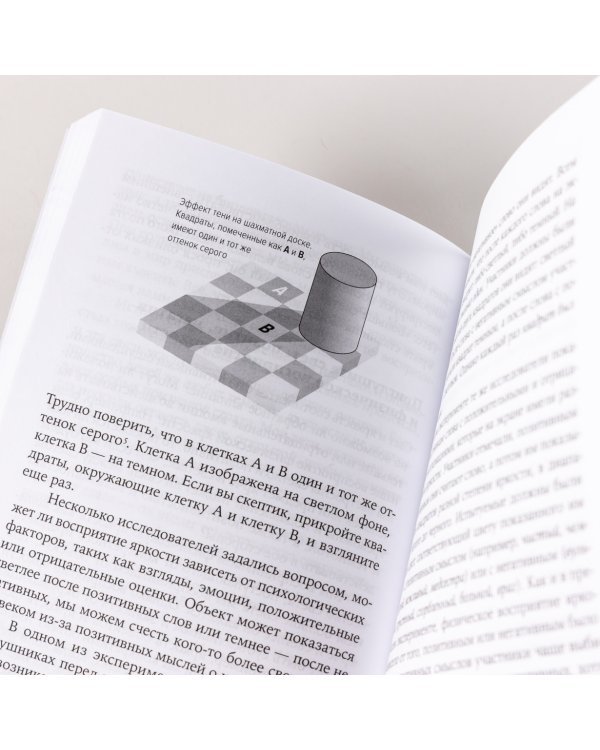 Теплая чашка в холодный день. Как физические ощущения влияют на наши решения