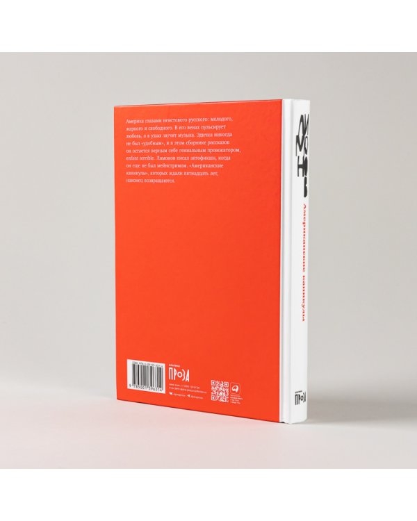 Американские каникулы