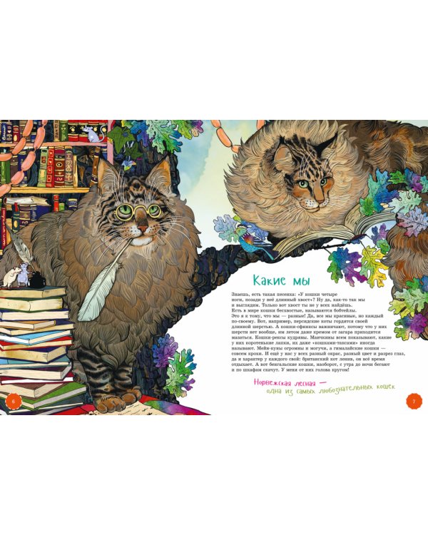 Я кот. (книга с раскрасками)