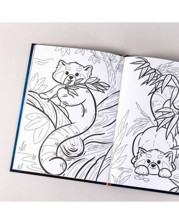 Я малая панда. (книга с раскрасками)