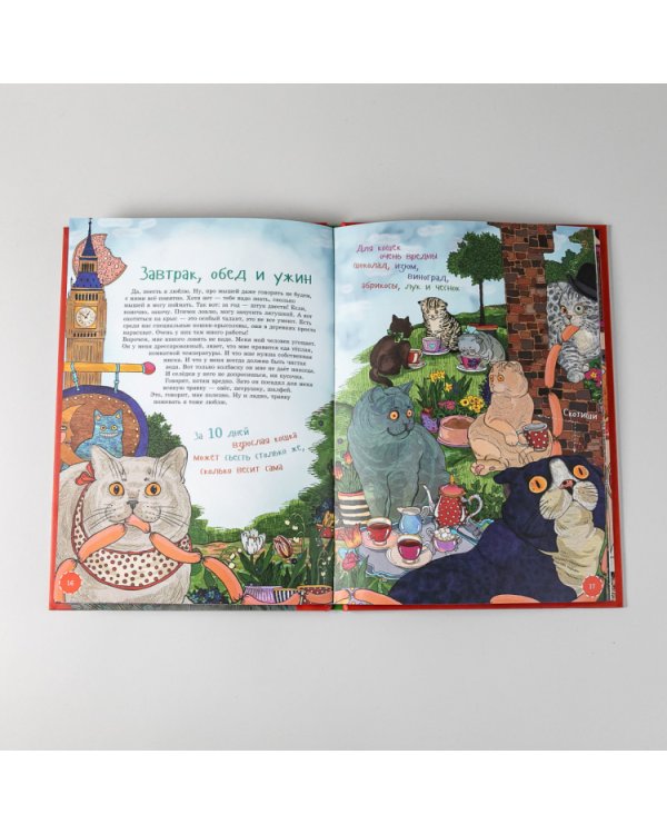 Я кот. (книга с раскрасками)