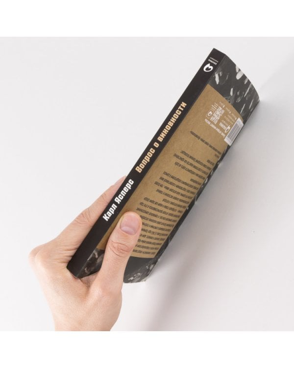 Вопрос о виновности. О политической ответственности Германии. Предисловие Николая Эппле