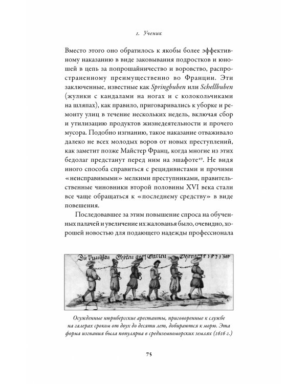 Праведный палач. Жизнь, смерть, честь и позор в XVI веке