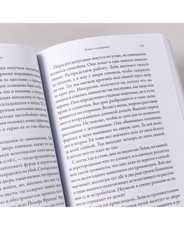 Почти как мы. Вся правда о свиньях