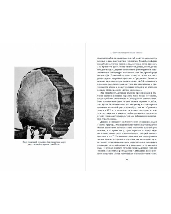 На 100 лет вперед: Искусство долгосрочного мышления, или Как человечество разучилось думать о будущем