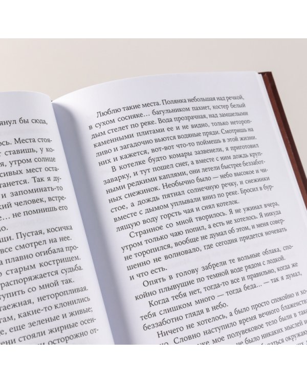 Одинокое путешествие накануне зимы