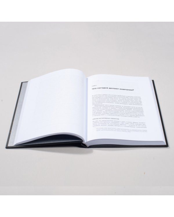 Внедрение искусственного интеллекта в бизнес-практику. Преимущества и сложности (Библиотека Сбера: Искусственный интеллект)