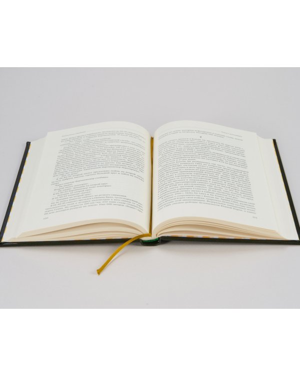 Гении и аутсайдеры. Почему одним все, а другим ничего? Том 33 (Библиотека Сбера)