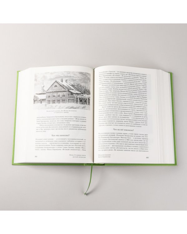 Полка. О главных книгах русской литературы (тома I, II)