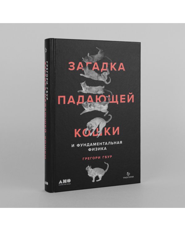 Загадка падающей кошки. и фундаментальная физика