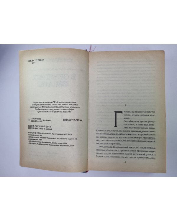 Дополнительное изображение книги «В объятиях заката»