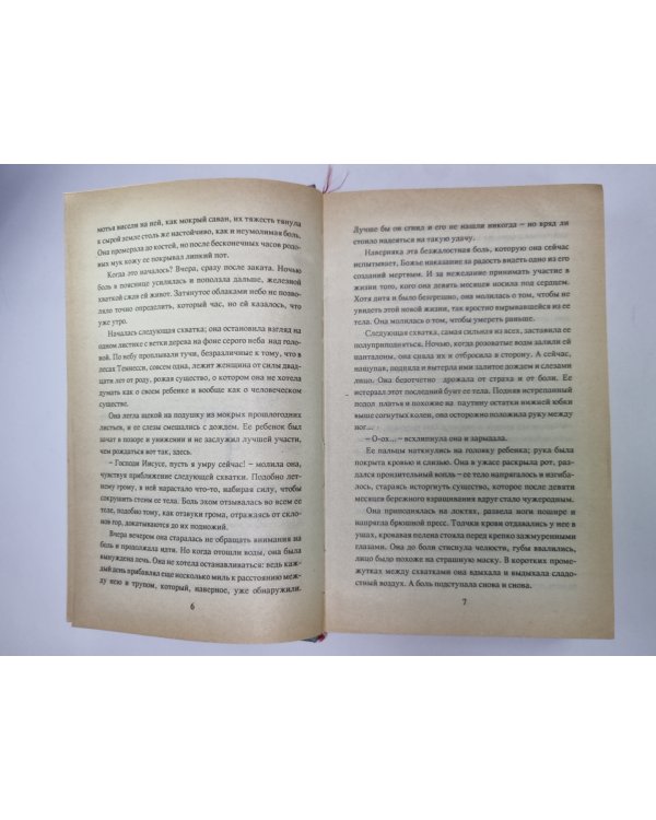 Дополнительное изображение книги «В объятиях заката»