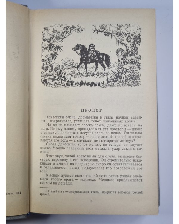 Всадник без головы