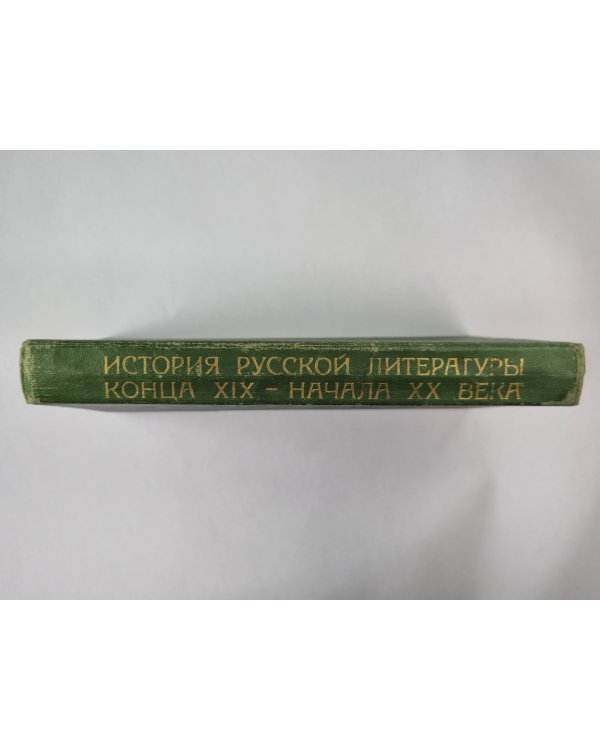 История русской литературы конца XIX начала XX века