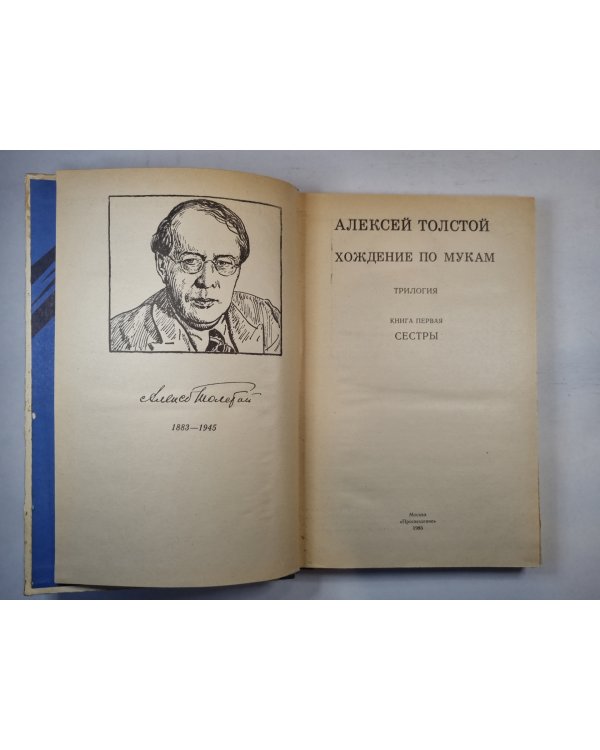 Хождение по мукам. Книга первая