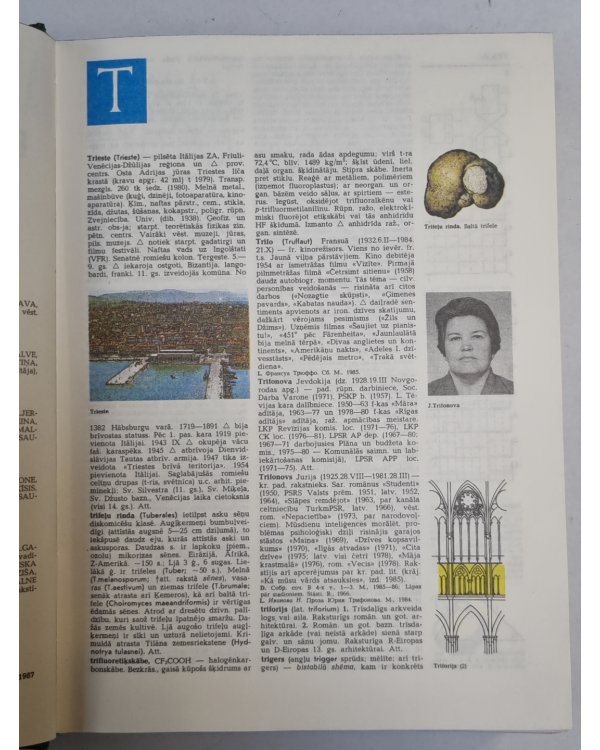 Latvijas padomju enciklopēdija 10 sējumos. 10.1.Sējums. Tries - Žvīgu