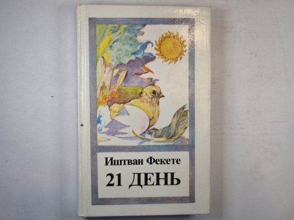 21 день