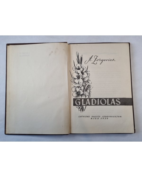 Gladiolas